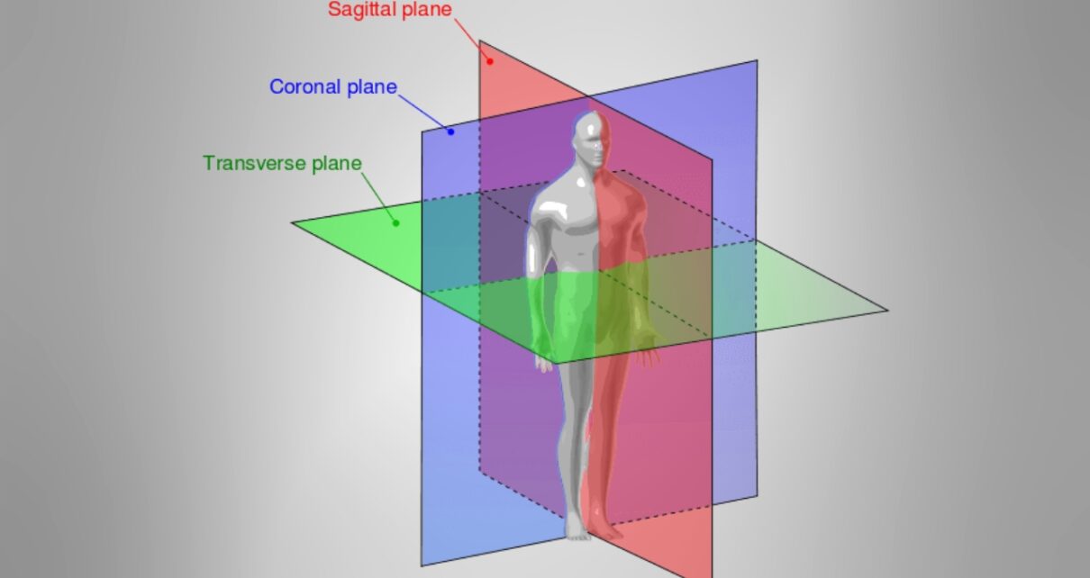 Diagram shows 3 planes of movement with sagittal, frontal, and transverse planes dividing the human body