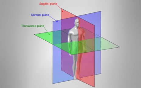 Diagram shows 3 planes of movement with sagittal, frontal, and transverse planes dividing the human body