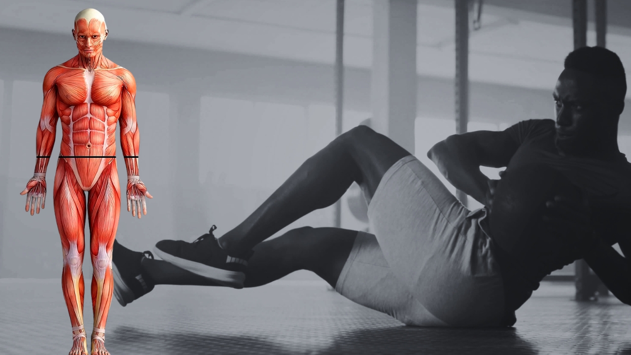 Man performs rotational core exercise with transverse plane line dividing upper and lower body